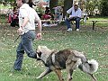 img 173